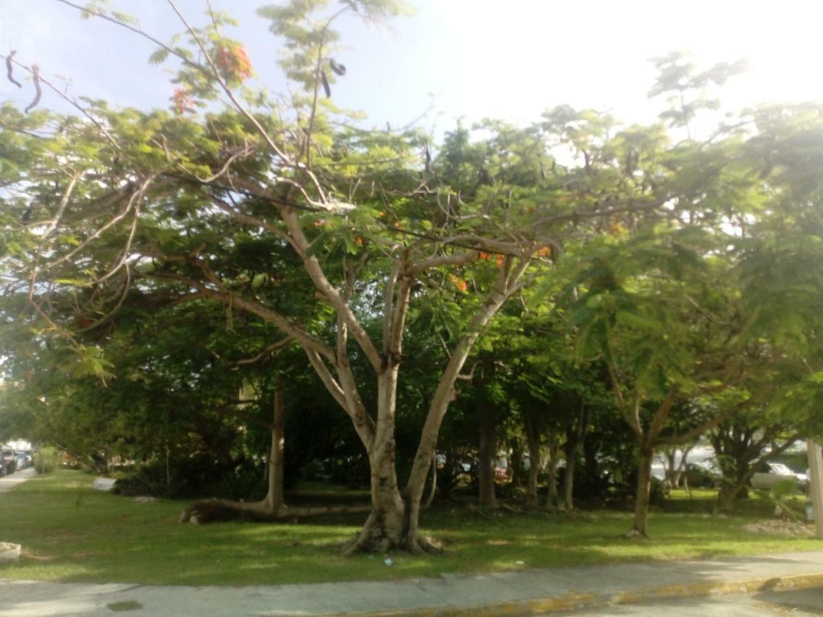 Bed & Breakfast Cielito Lindo *